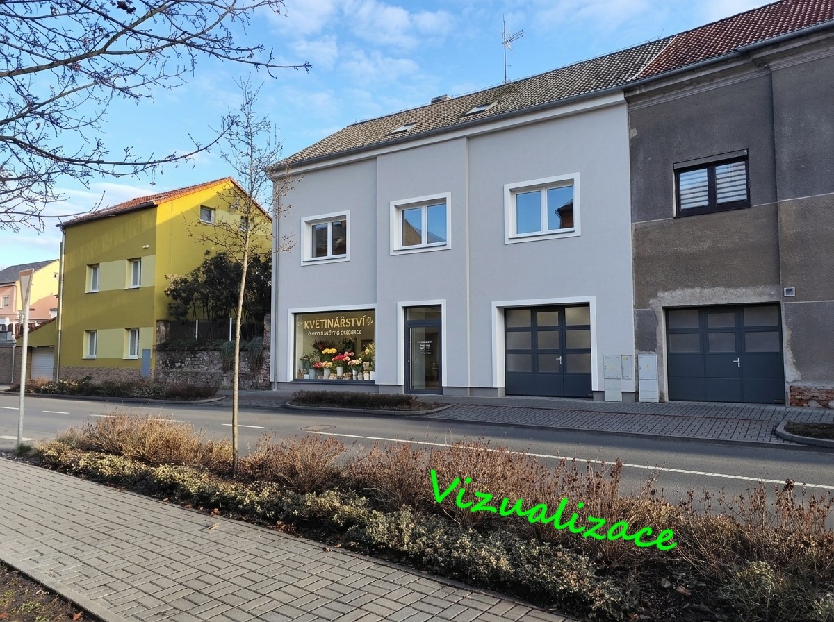 Vizualizace